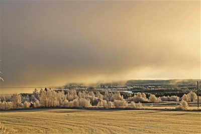 20181119 Dimman lättar och släpper fram lite sol i Ångsta