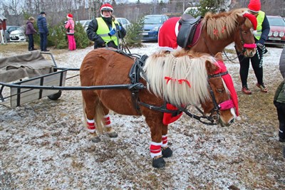 20181125 Hästar på julmarknad i Grytan