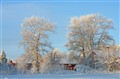 Vinterbild från Gärde.jpg